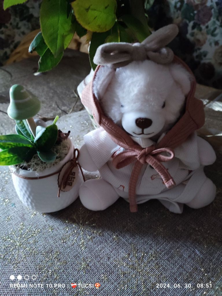 img_20240630_0851044410863907494715144